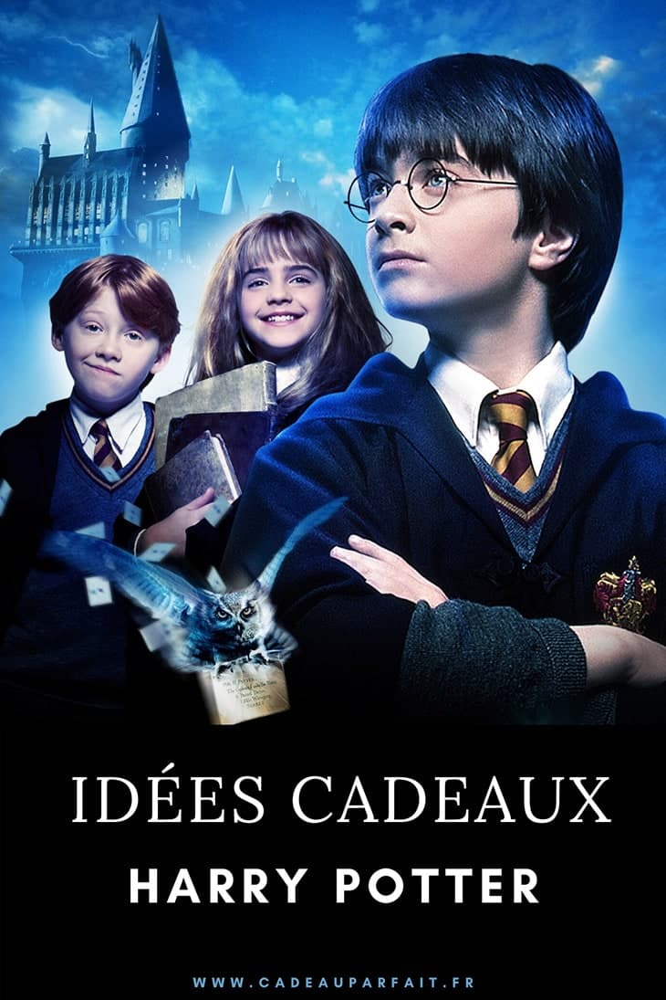 Harry Potter: 100 cadeaux pour faire plaisir à un vrai fan de la saga ! -  MCE TV